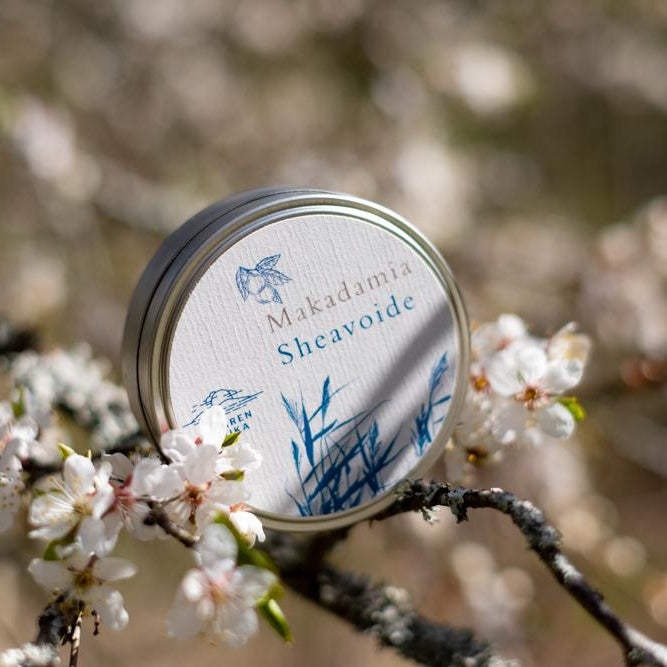 Makadamiaöljy sheavoide 80ml | Saaren Taika 🇫🇮